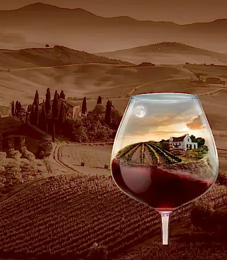 День рождения в винном формате